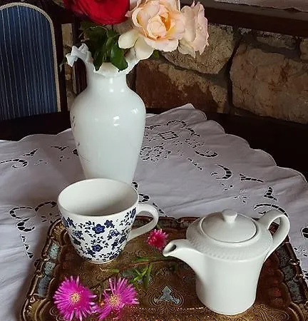 Casa de Férias Theologos